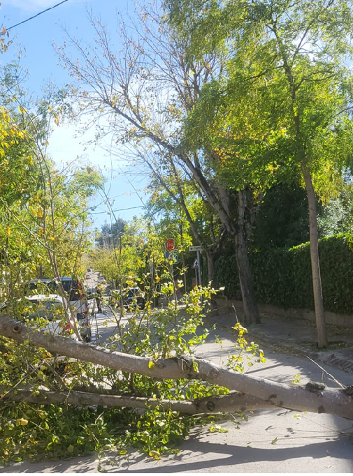 Primeres incidències a Sant Cugat per les ratxes de vent